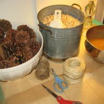 Materials: twine, pine cones, bird seed, peanut butter