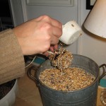 Step 4: Cover pine cone with brid seed.
